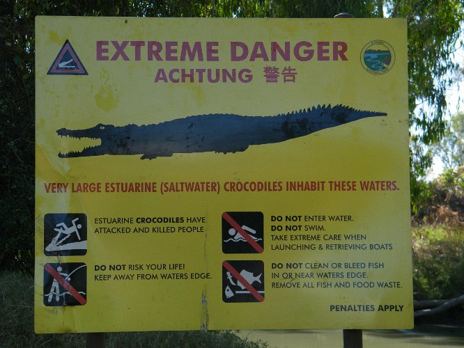 DSCF0251.jpg - salzwasser- krokodile sind gefährlich, trotz warnung werden jedes jahr ein paar leute gefressen