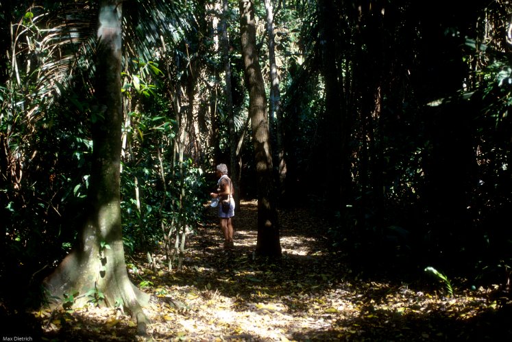 164-34.jpg - margrit im regenwald